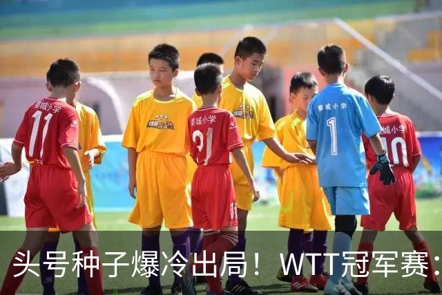 头号种子爆冷出局!WTT冠军赛:王曼昱0-3遭淘汰,陈熠完胜晋级女单8强